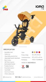 PMB TRICYCLE IORA T12
