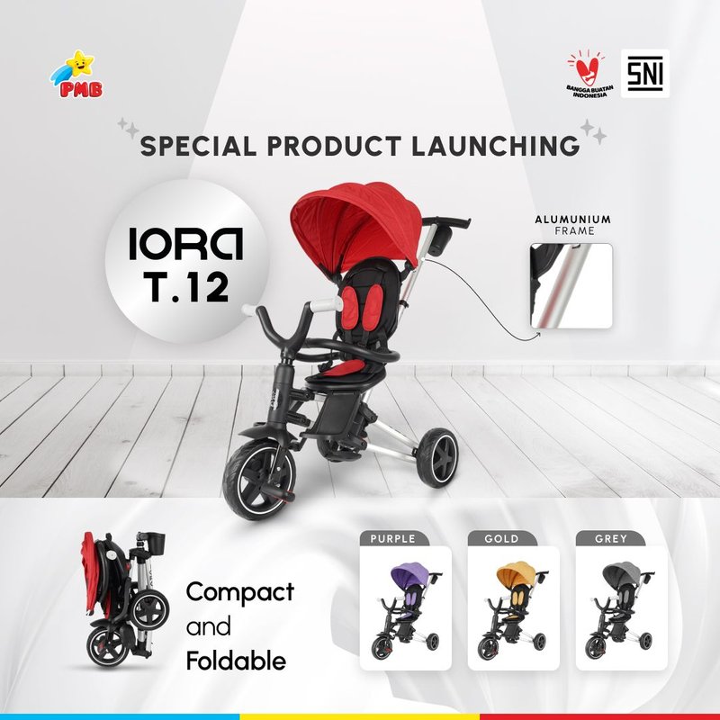 PMB TRICYCLE IORA T12