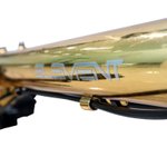 Element Troy 10SP Gold Chrome (Frame)